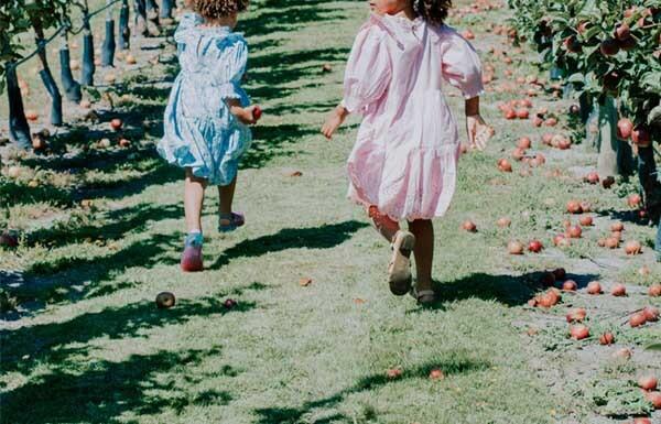 Kinderboekentips widget herfst boomgaard kinderen rennen appels oogsttijd